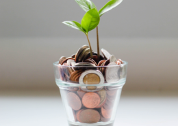 vaso con monedas y planta