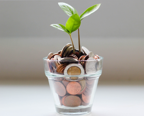 vaso con monedas y planta